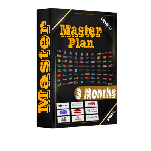 Plan Director 3 Meses